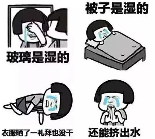 明天小雨继续