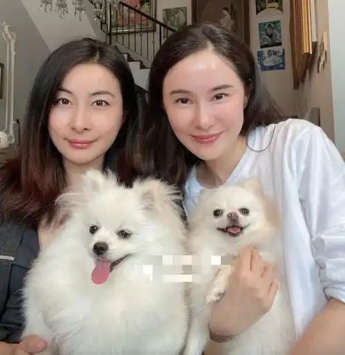 郭晶晶和贵妇闺蜜私下聚会,皮肤白嫩打扮知性,桌上菜肴接地气