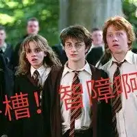 有哪些哈利波特厨看了会心一笑的图片呢