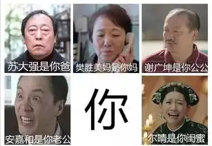 假如苏大强是你女朋友