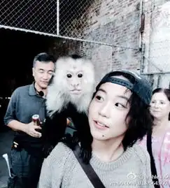 赵薇晒与窦靖童素颜合影网友帮闺蜜王菲看孩子