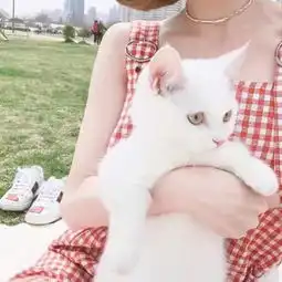 可爱女生头像,我是喝可爱多长大的