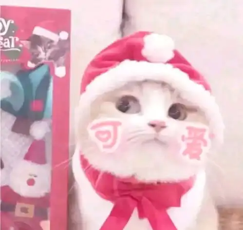 我给你买了草莓哦