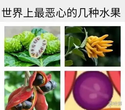 合成大西瓜表情包有哪些合成大西瓜表情包分享游侠手游
