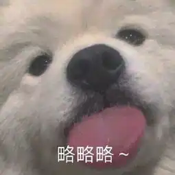 斗图表情包合集想谈恋爱了,大家快劝劝我
