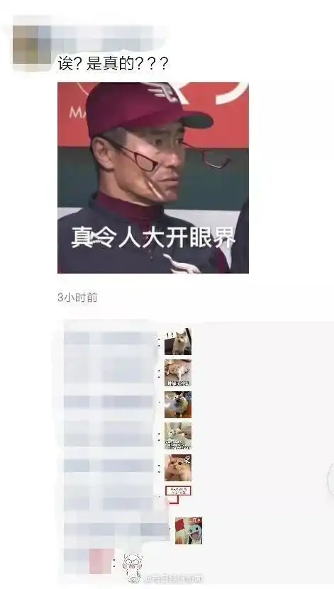 听说微信又悄悄发布新功能了