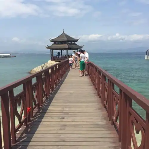 三亚旅途中阿浪海鲜可火了