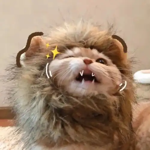 闺头闺蜜头像