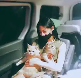 组图周洁琼嘴对嘴献吻爱猫还有她们也超级爱猫