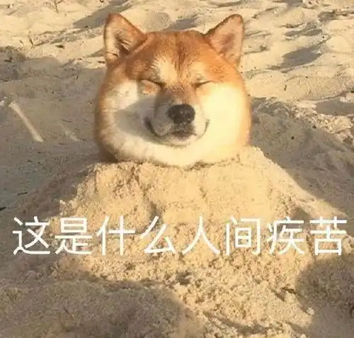 广东果然是一个神奇的地方,不得不服呀
