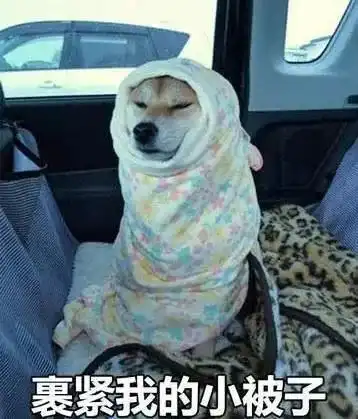 紧急提醒冻哭雨夹雪太和2019年的第一场大雪,来势汹汹