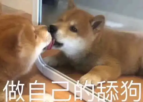 搞笑表情包舔狗的艰难,请不要在拆穿