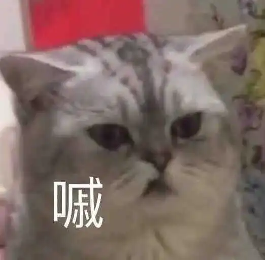 表情包小猫小狗的表情包