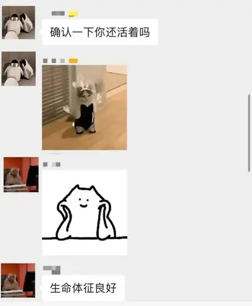 购房故事买了南沙后,我的闺蜜失踪了