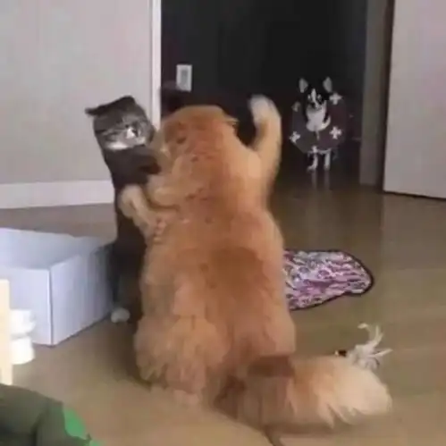 头像晴天也会突然下雨,温柔的人也会不开心