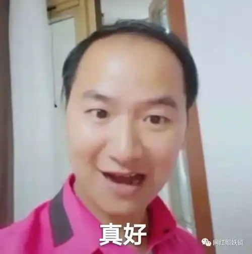 谢拉露妮丝表情包警告