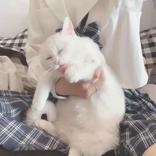 精选头像一组超好看的闺蜜头像