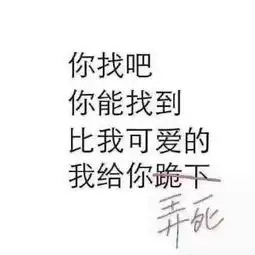 卤摇趾玛丽格调