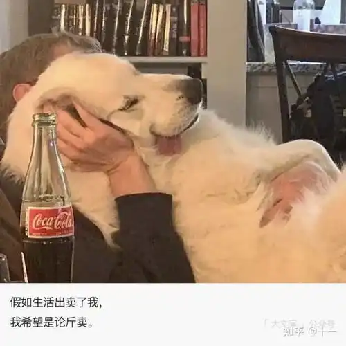 每日一笑我看不到自己的眼睛,怎么办啊,我是不是已经瞎了
