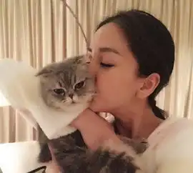 不动声色就嘲了杨颖,杨幂又要换闺蜜
