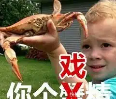 谢飞机,权律二,宋民国,你表情包里的萌娃们,现在都怎么样了