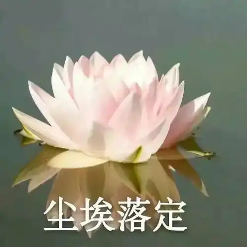 沙雕个性闺蜜头像集那些值得收藏的好句子