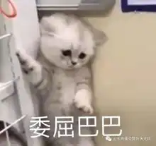 答应我,开车不分心好吗