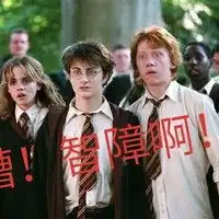 有哪些哈利波特厨看了会心一笑的图片呢