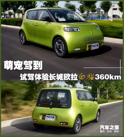 萌宠驾到试驾长城欧拉白猫360km续航