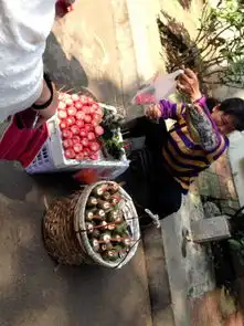 2014年之闺蜜穷游我爱厦门自由行四天图片