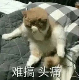 种草丨黑头收割机万年草莓鼻居然被它救好了