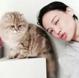 别再甘当单身狗了,你与女神之间只差一只猫咪