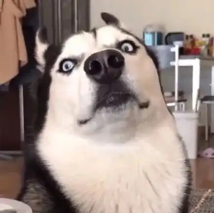 打哈欠