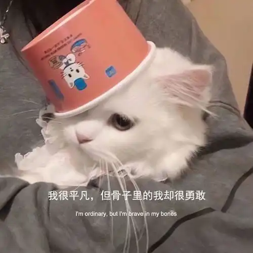 背景图别回头看,谁都不是原来的样子