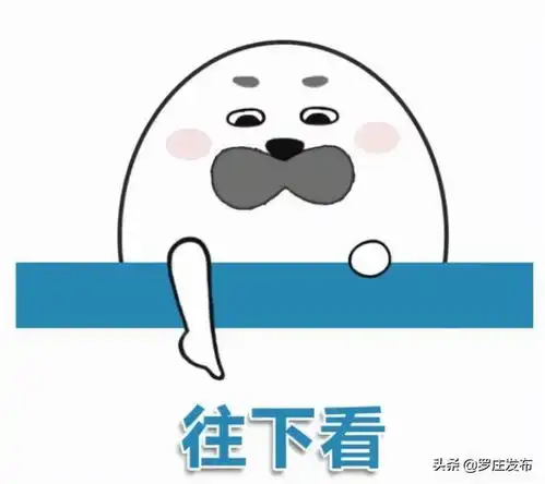 你还敢胡说八道这可不是闹着玩滴来了,罗庄新闻直通车