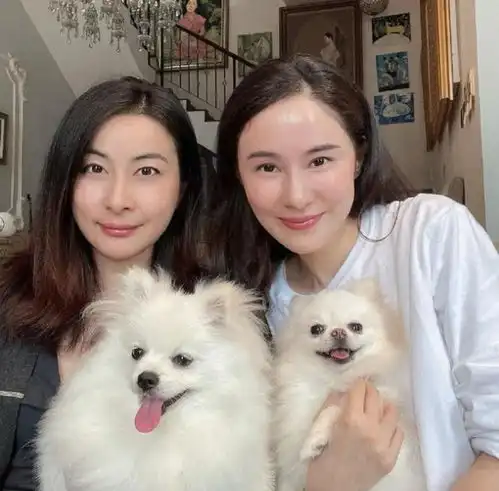 郭晶晶参加聚会,罕穿低胸装大秀性感,闺蜜嫁大31岁富豪成副总裁