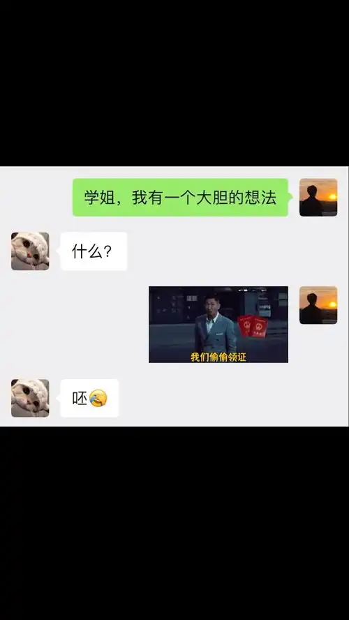 你要悄悄领证,然后惊艳所有人沙雕操作表情包小可爱已上线聊天记录