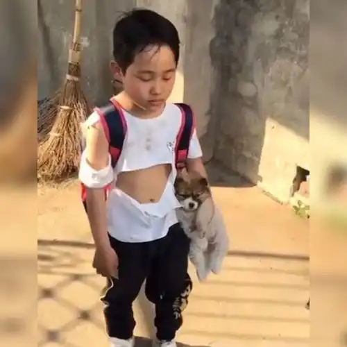 俩娃为抢夺狗狗的抚养权打了起来,狗狗小主人,我跟定你了