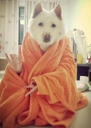 幽默段子抬头照镜子,看看自己的脸庞