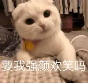 e句话看天下丨孔刘要出演霉霉新歌mv