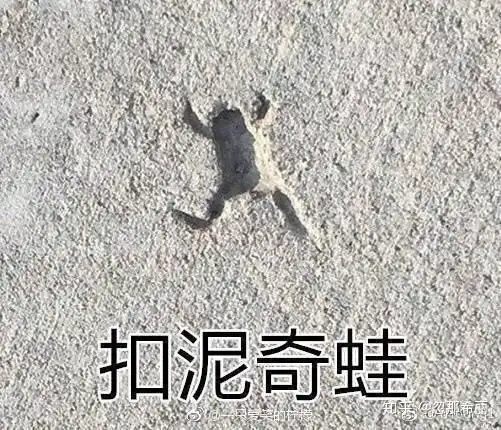 到了日本才发现,我连早上好都不会用
