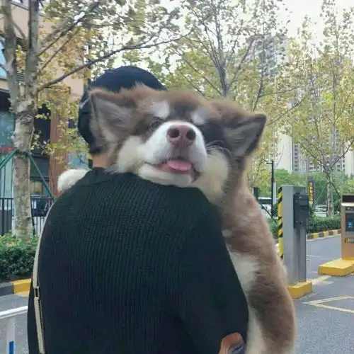 专利是什么怎么申请专利