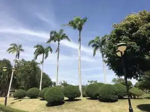 五月之行,带上最好的闺蜜在三亚快乐四天之旅