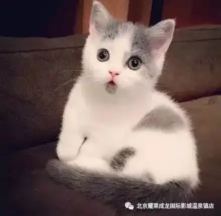 假期余额不足.....有些事情你需要提前知道