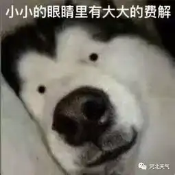 小雨阵雨中雨邯郸人注意冷空气马上到,出门记得带伞