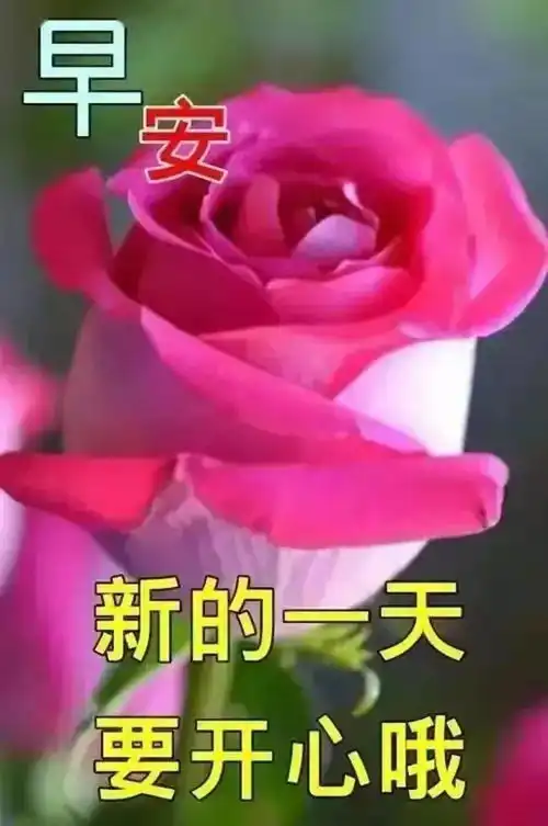 早安心语下雨了,才知道谁会给你送伞遇事了,才知道谁对你真心经历