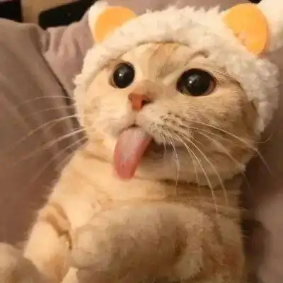 今日头像我要露出一点马脚好让你看出来我是一匹马