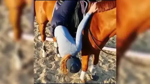 我的闺蜜竟如此沙雕