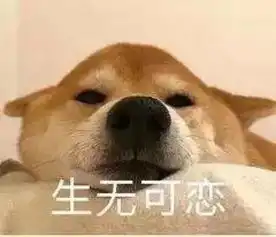 狗妈表情包睡觉狗狗