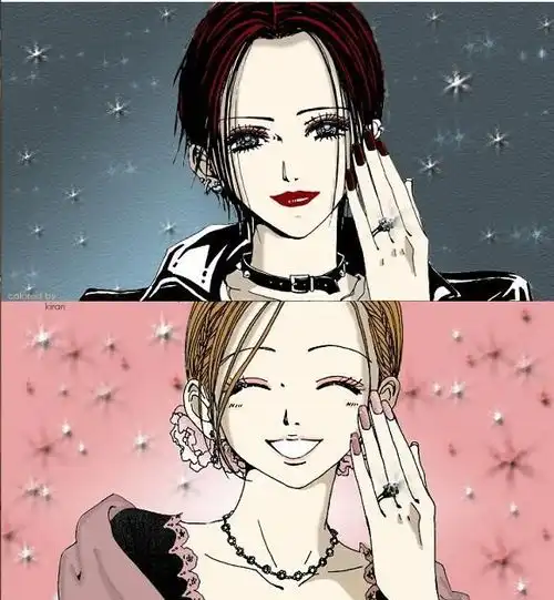 nana,人人都想成为娜娜,我却独爱奈奈